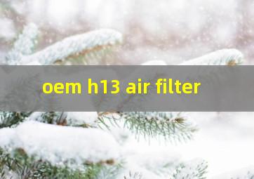 oem h13 air filter
